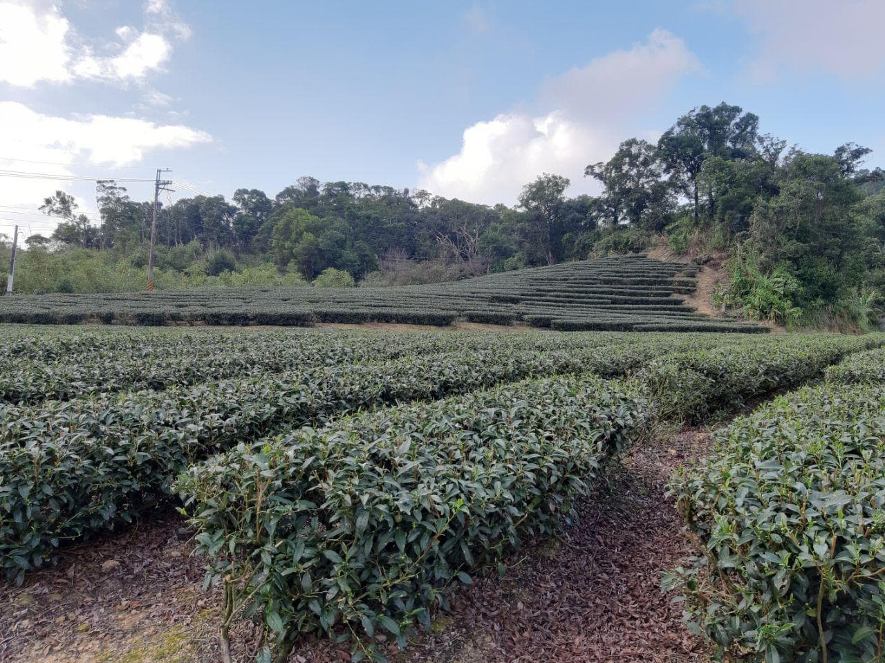 十月初爬山烤肉