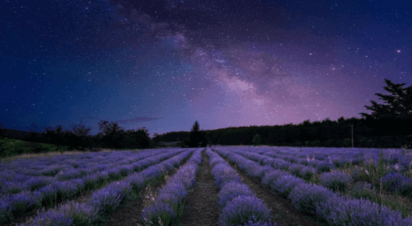 月亮正念思想法